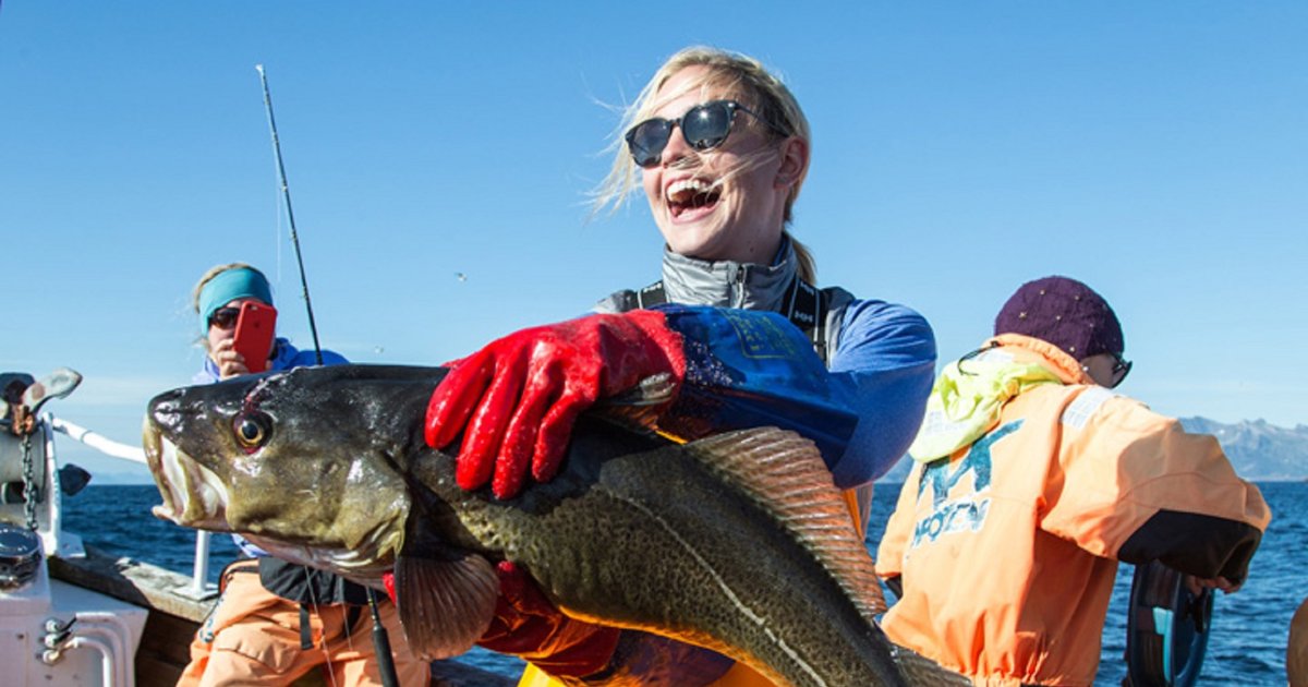 lofoten fishing trip